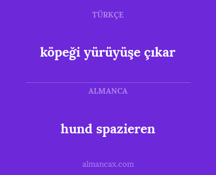 hund spazieren - köpeği yürüyüşe çıkar