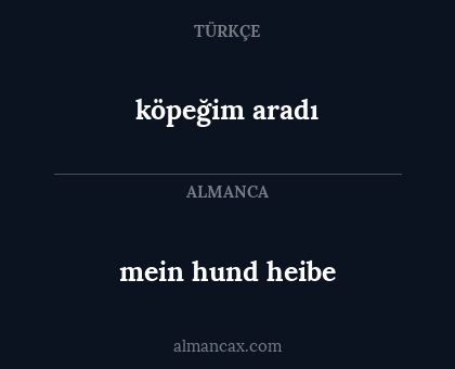 köpeğim aradı - mein hund heibe