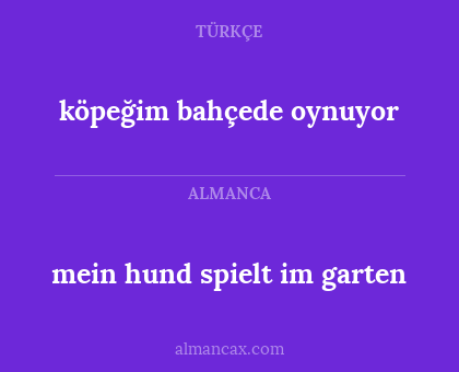 mein hund spielt im garten - köpeğim bahçede oynuyor
