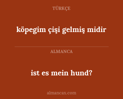 ist es mein hund? - köpegim çişi gelmiş midir
