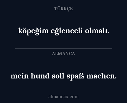 köpeğim eğlenceli olmalı. - mein hund soll spaß machen.