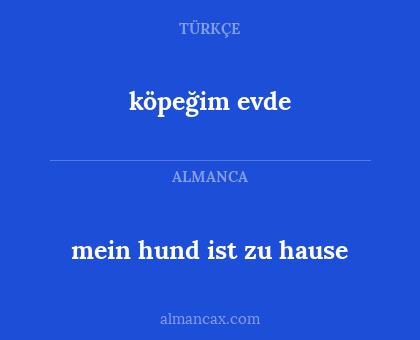 köpeğim evde - mein hund ist zu hause