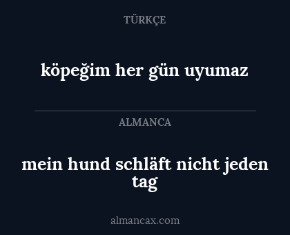 köpeğim her gün uyumaz - mein hund schläft nicht jeden tag