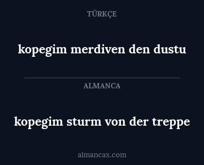 kopegim merdiven den dustu - kopegim sturm von der treppe