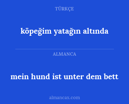 mein hund ist unter dem bett - köpeğim yatağın altında
