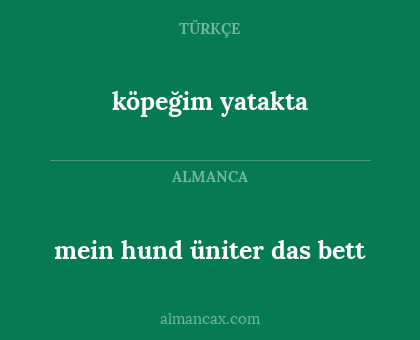 mein hund üniter das bett - köpeğim yatakta