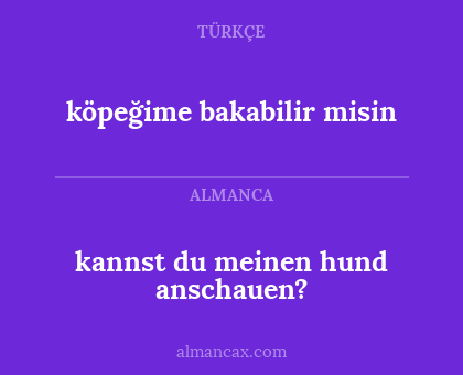 köpeğime bakabilir misin - kannst du meinen hund anschauen?