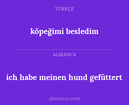 köpeğimi besledim - ich habe meinen hund gefüttert