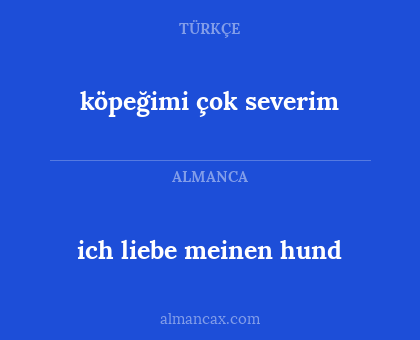 ich liebe meinen hund - köpeğimi çok severim