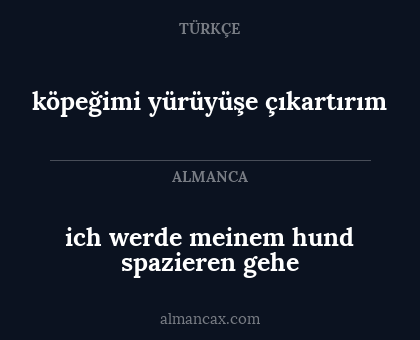 ich werde meinem hund spazieren gehe - köpeğimi yürüyüşe çıkartırım