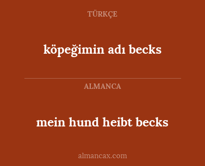 köpeğimin adı becks - mein hund heibt becks