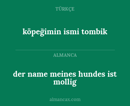 der name meines hundes ist mollig - köpeğimin ismi tombik