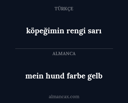 mein hund farbe gelb - köpeğimin rengi sarı