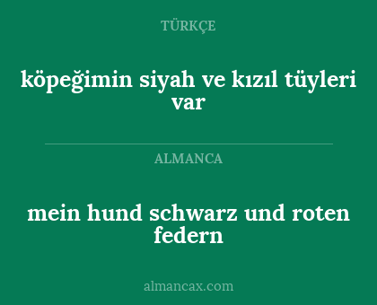 köpeğimin siyah ve kızıl tüyleri var - mein hund schwarz und roten federn
