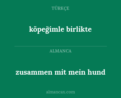 köpeğimle birlikte - zusammen mit mein hund