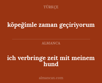 ich verbringe zeit mit meinem hund - köpeğimle zaman geçiriyorum