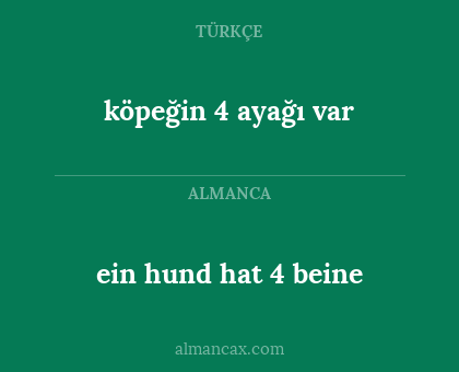 köpeğin 4 ayağı var - ein hund hat 4 beine