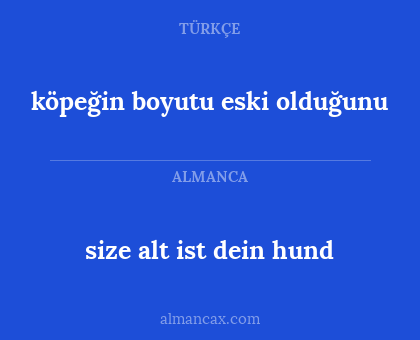 köpeğin boyutu eski olduğunu - size alt ist dein hund