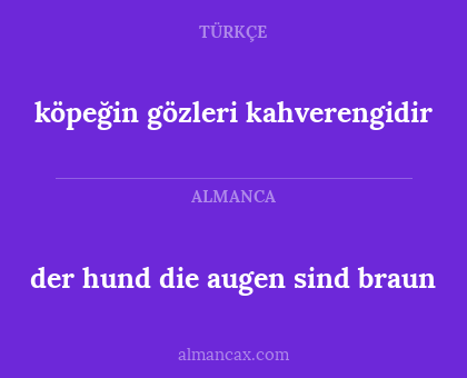 der hund die augen sind braun - köpeğin gözleri kahverengidir
