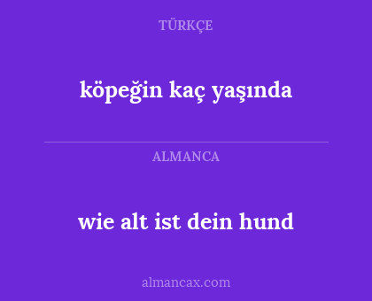 köpeğin kaç yaşında - wie alt ist dein hund