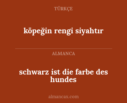 köpeğin rengi siyahtır - schwarz ist die farbe des hundes