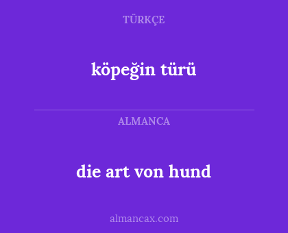 die art von hund - köpeğin türü