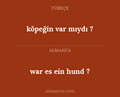 war es ein hund ? - köpeğin var mıydı ?