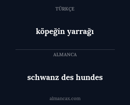 schwanz des hundes - köpeğin yarrağı