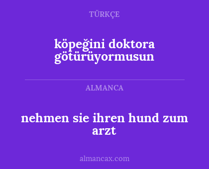 köpeğini doktora götürüyormusun - nehmen sie ihren hund zum arzt