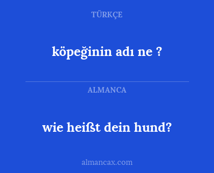 köpeğinin adı ne ? - wie heißt dein hund?