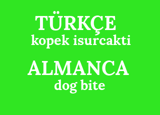 Almanca Ceviri Dog Bite Turkcesi Nedir Dog Bite Ne Demek Dog Bite Cevirisi Nedir Almanca Dog Bite Ne Demek