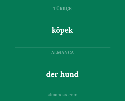 köpek - der hund