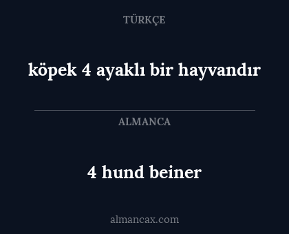 köpek 4 ayaklı bir hayvandır - 4 hund beiner