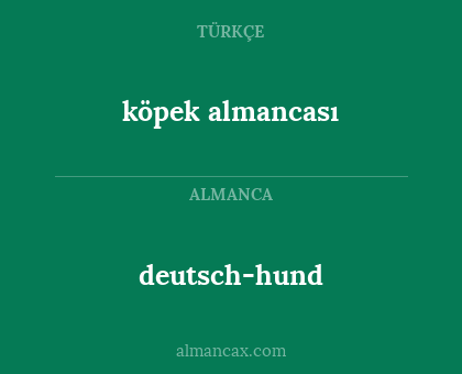 deutsch-hund - köpek almancası