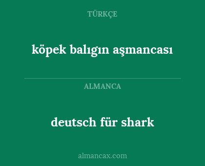 deutsch für shark - köpek balıgın aşmancası