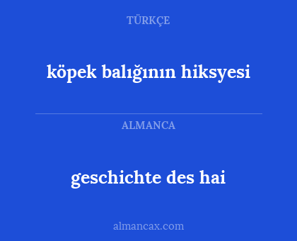 geschichte des hai - köpek balığının hiksyesi