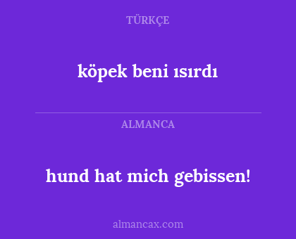 köpek beni ısırdı - hund hat mich gebissen!
