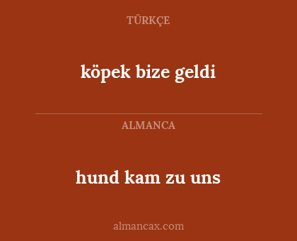 köpek bize geldi - hund kam zu uns