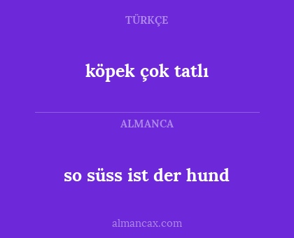 köpek çok tatlı - so süss ist der hund