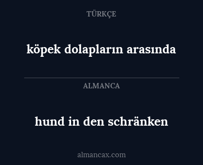 köpek dolapların arasında - hund in den schränken
