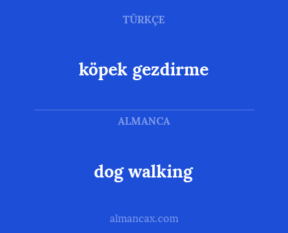 dog walking - köpek gezdirme