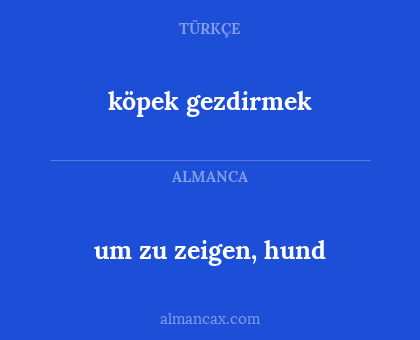 köpek gezdirmek - um zu zeigen, hund