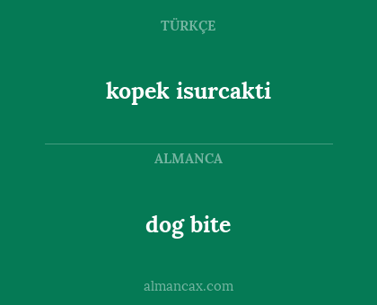dog bite - kopek isurcakti
