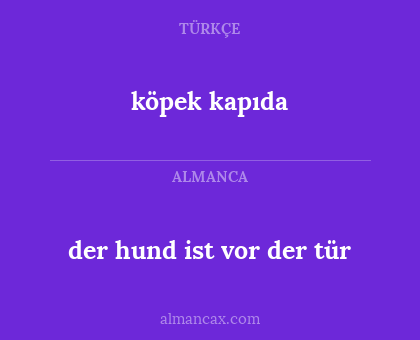 köpek kapıda - der hund ist vor der tür