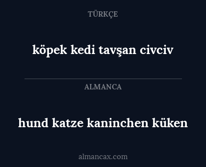 köpek kedi tavşan civciv - hund katze kaninchen küken