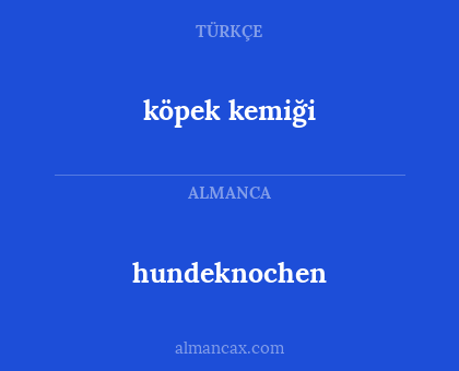 hundeknochen - köpek kemiği