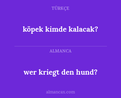 wer kriegt den hund? - köpek kimde kalacak?