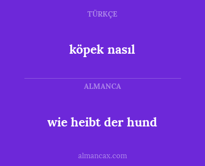 köpek nasıl - wie heibt der hund