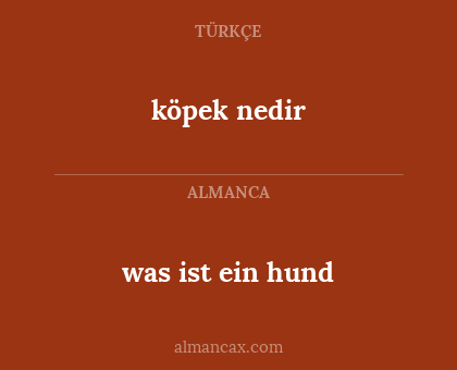 köpek nedir - was ist ein hund