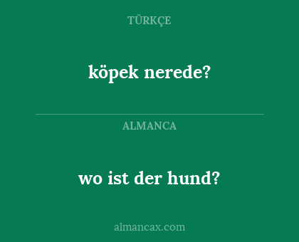köpek nerede? - wo ist der hund?